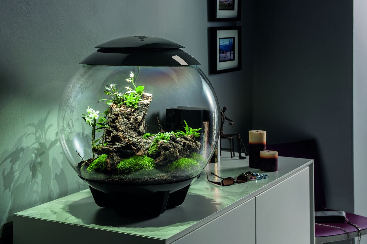 BiOrb Air by Oase.All-In-One Terrarium
