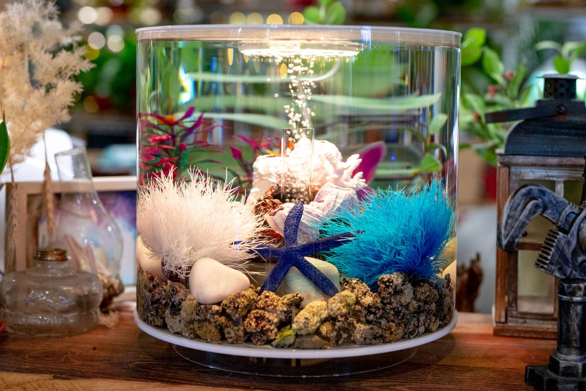 BiOrb Water. BiORB BY Oase. Fish tank