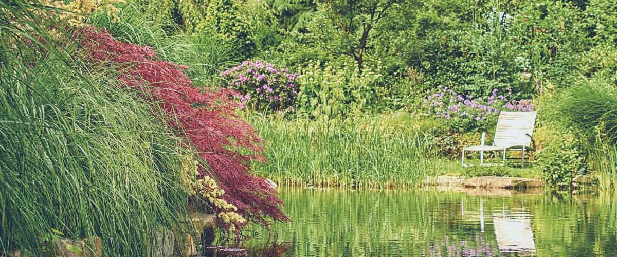 Water Garden by OASE. Outdoor OASE. Pond & Lake