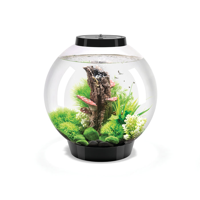 BiOrb Classic LED 30 - Black