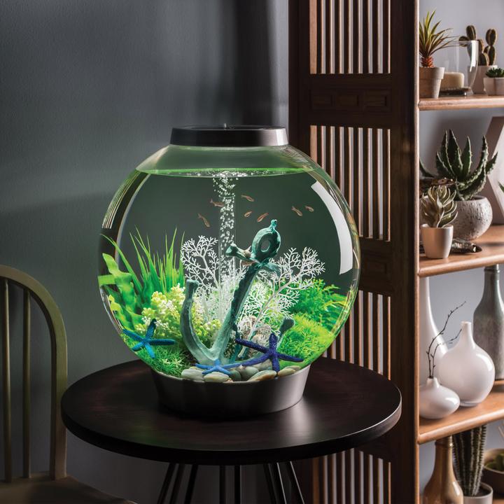 BiOrb Easy Plant Set Small Green