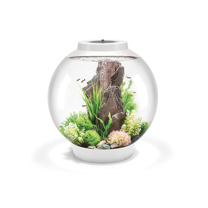 BiOrb Classic LED 60 - White