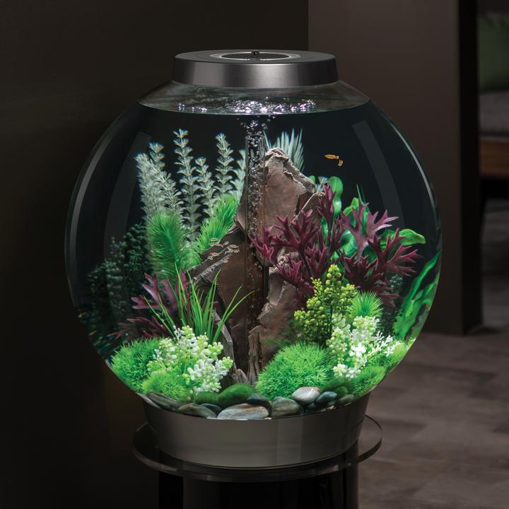 BiOrb Aquatic Topiary Ball Set of 3