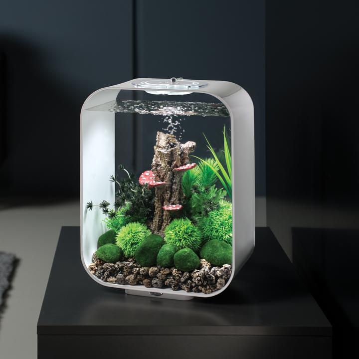 BiOrb Aquatic Topiary Ball Set of 3