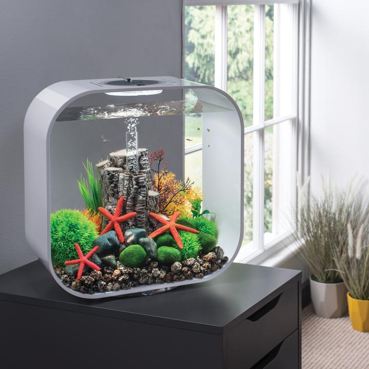 BiOrb Easy Plant Set Small Green