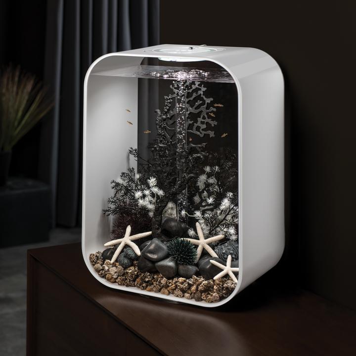 biOrb Sea Fan Small Black