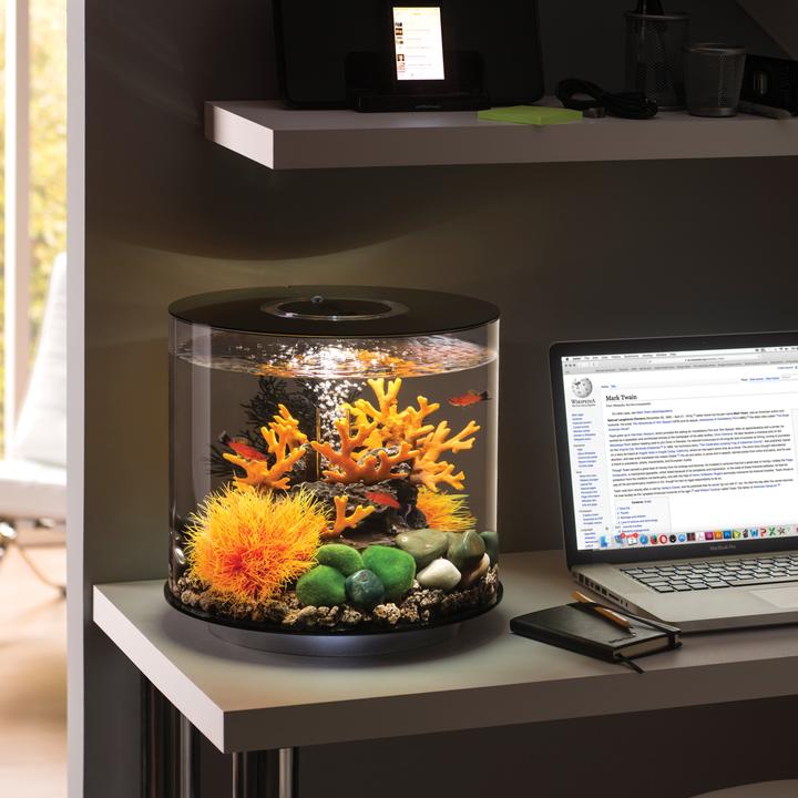 biOrb Sea Fan Small Black