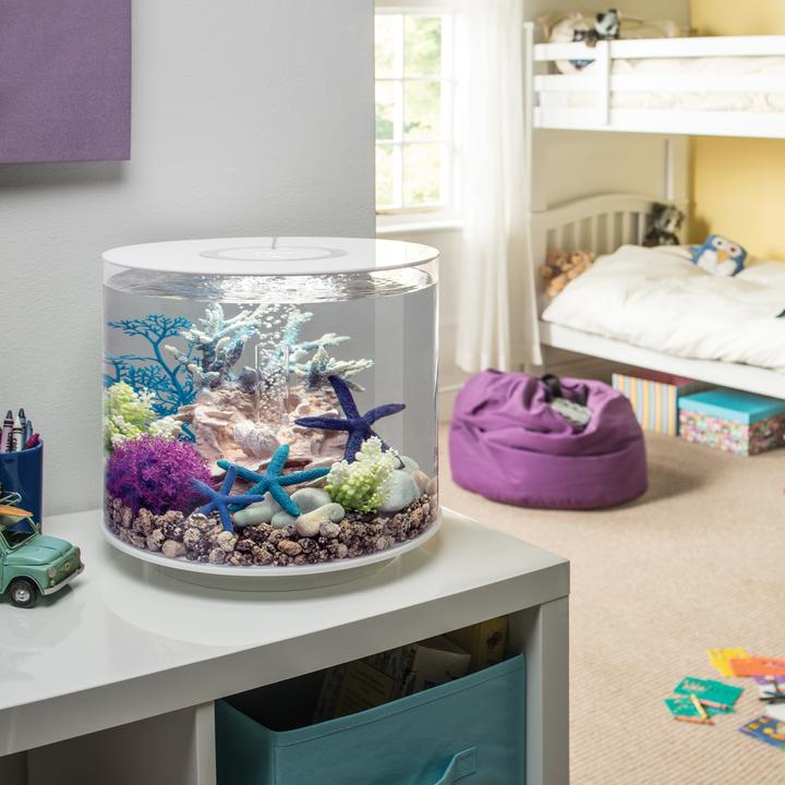 biOrb Starfish Set Of 3 Blue