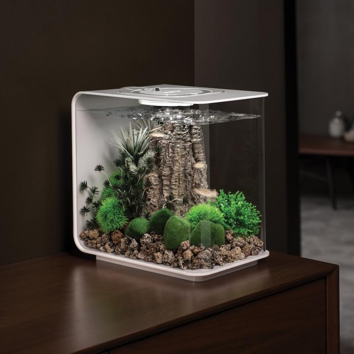 BiOrb Aquatic Topiary Ball Set of 3