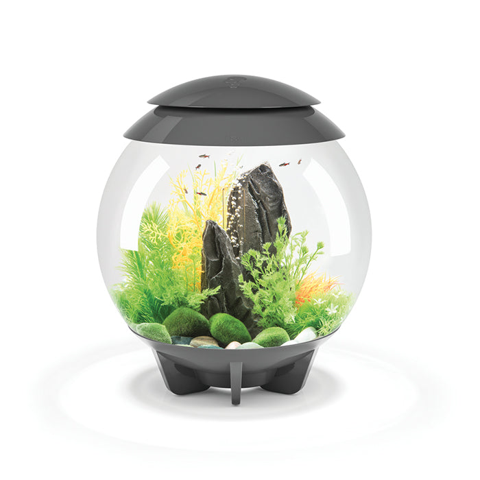 BiOrb Halo MCR 30 - Grey