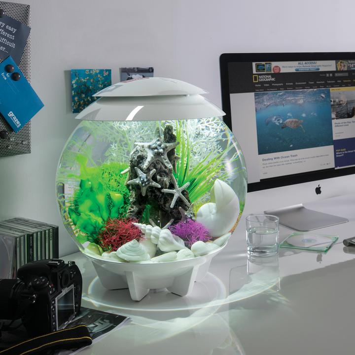 BiOrb Easy Plant Set Small Green
