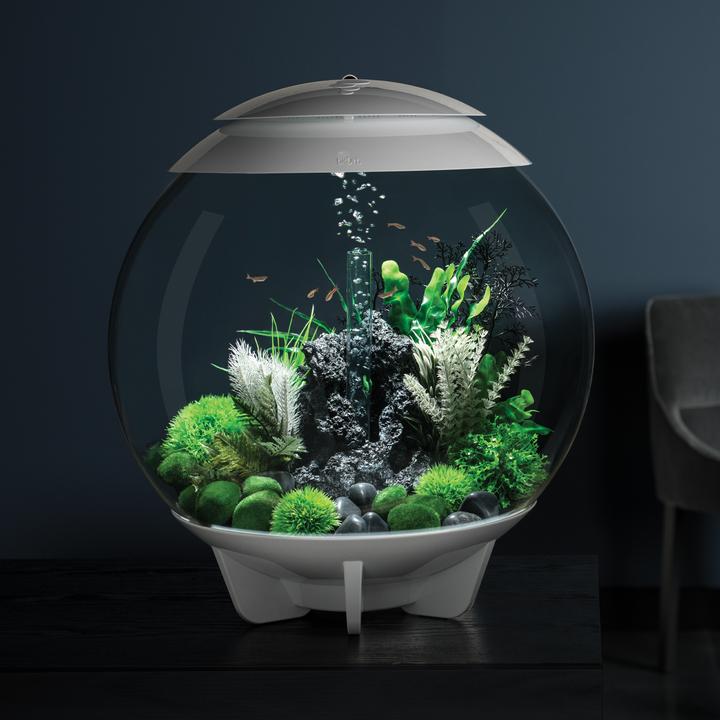 BiOrb Aquatic Topiary Ball Set of 3