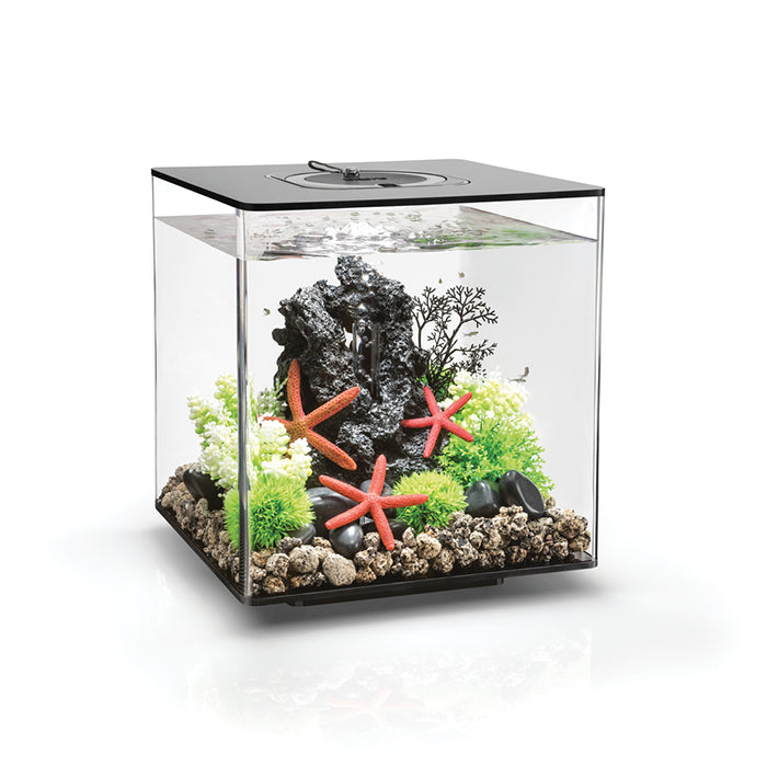 BiOrb Cube MCR 30 - Black