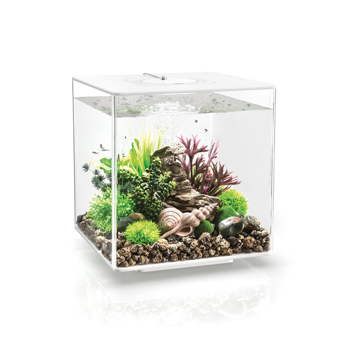 biOrb Cube MCR 30 - White