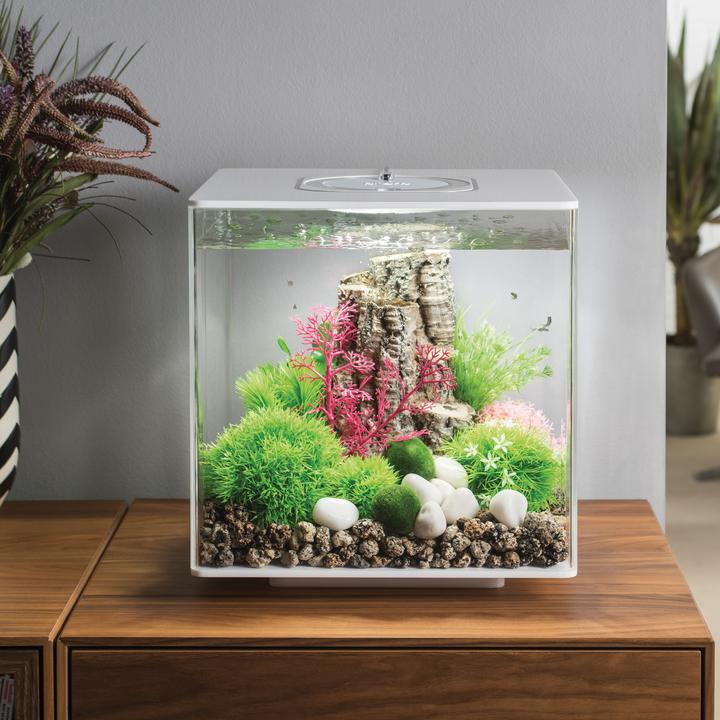 BiOrb Aquatic Topiary Ball Set of 3