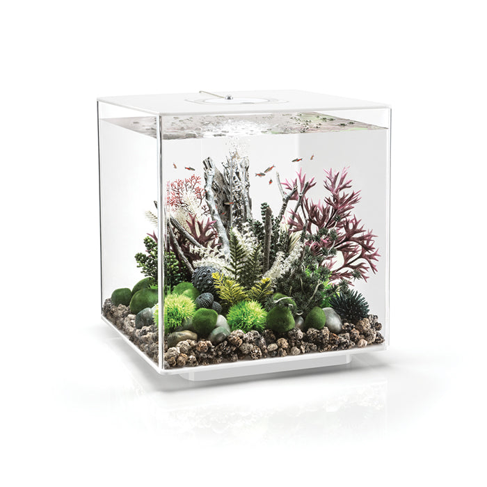 BiOrb Cube MCR 60 - White
