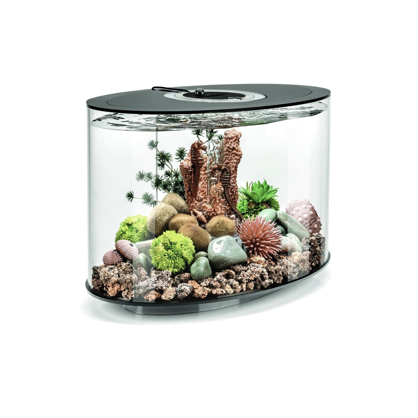 BiOrb LOOP LED 15 - BLACK