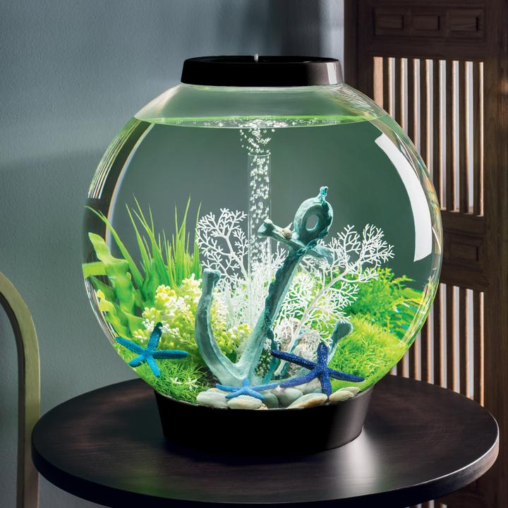 biOrb Starfish Set Of 3 Blue