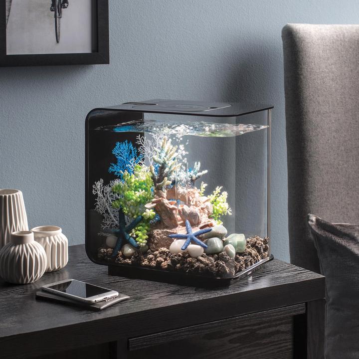 biOrb Starfish Set Of 3 Blue