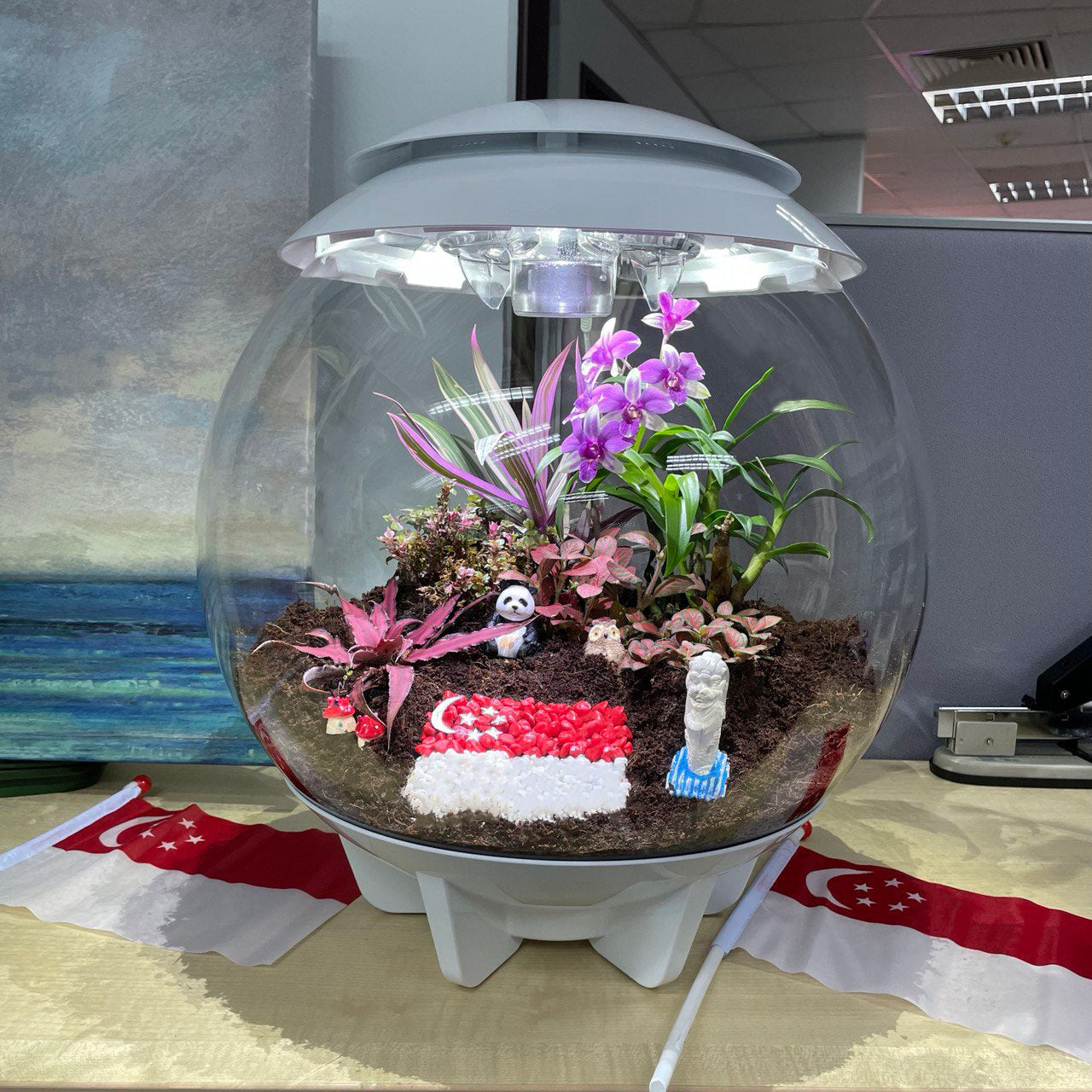 4 Ways To Style Your biOrb AIR Terrarium Oase Asia Pacific