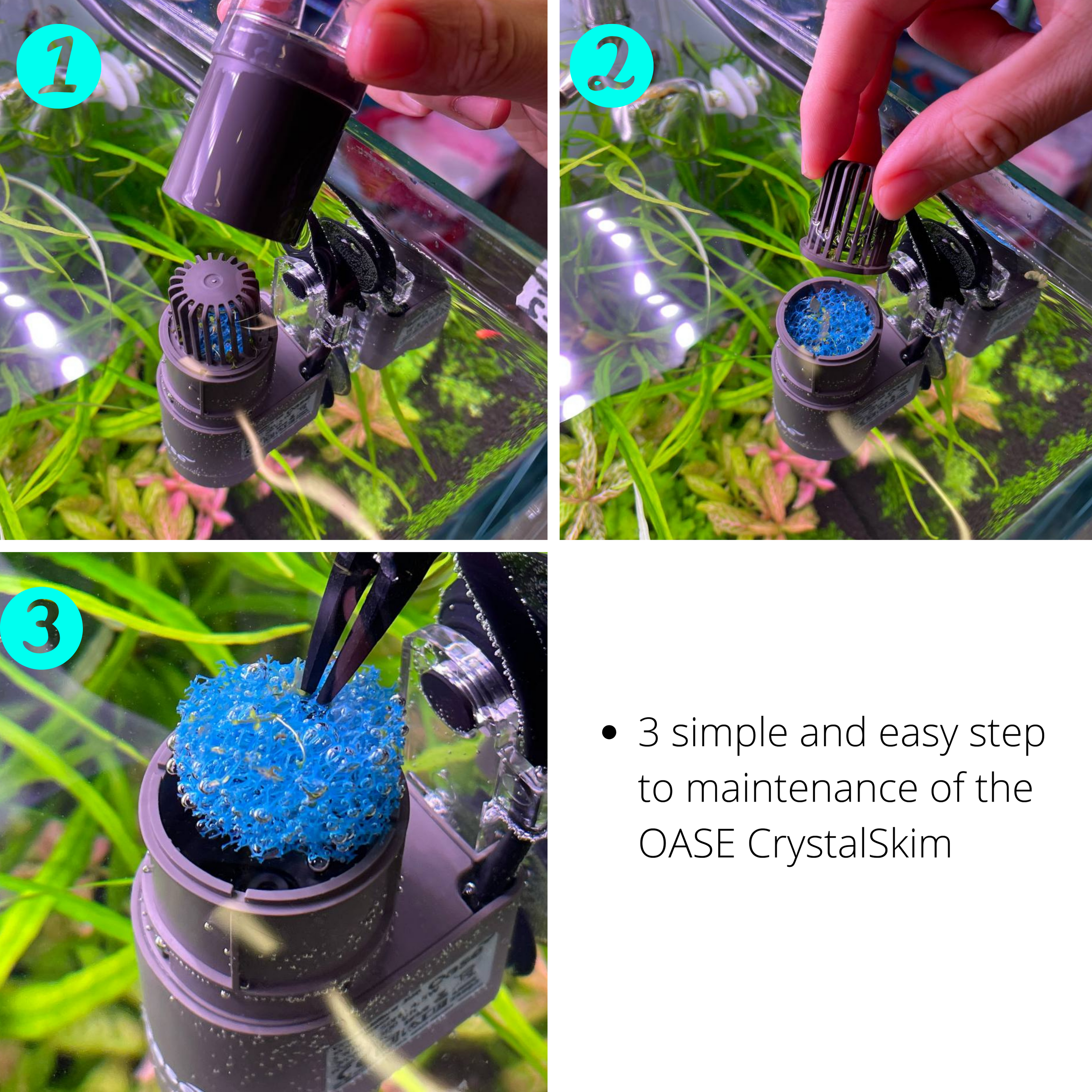OASE Crystal Skim - Water Surface Skimmer