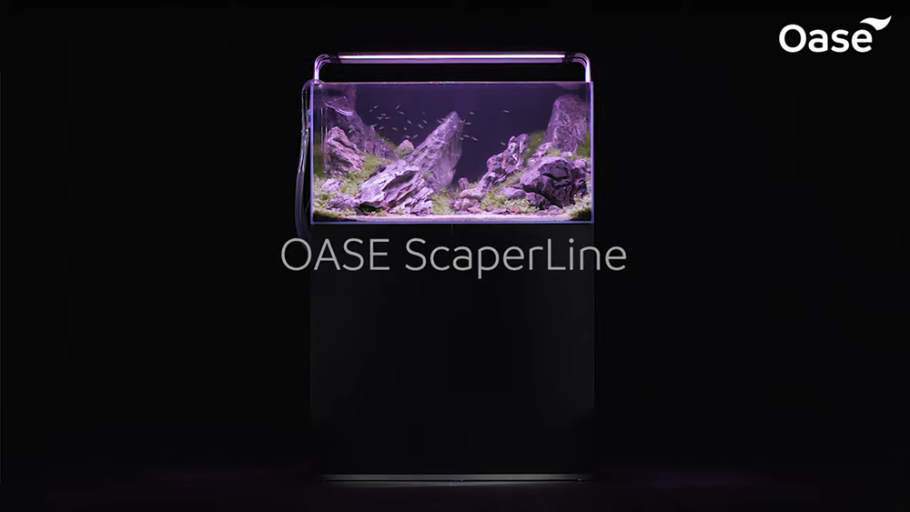 Load video: ScaperLine Aquariums Introduction Video