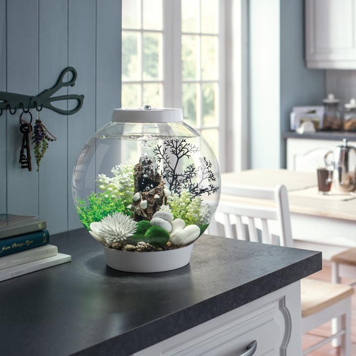 biOrb Sea Fan Small Black