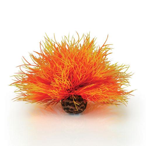 biOrb Sea Lily orange