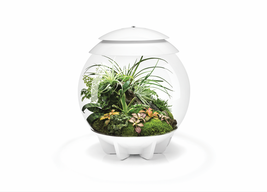 BiOrb Air 30